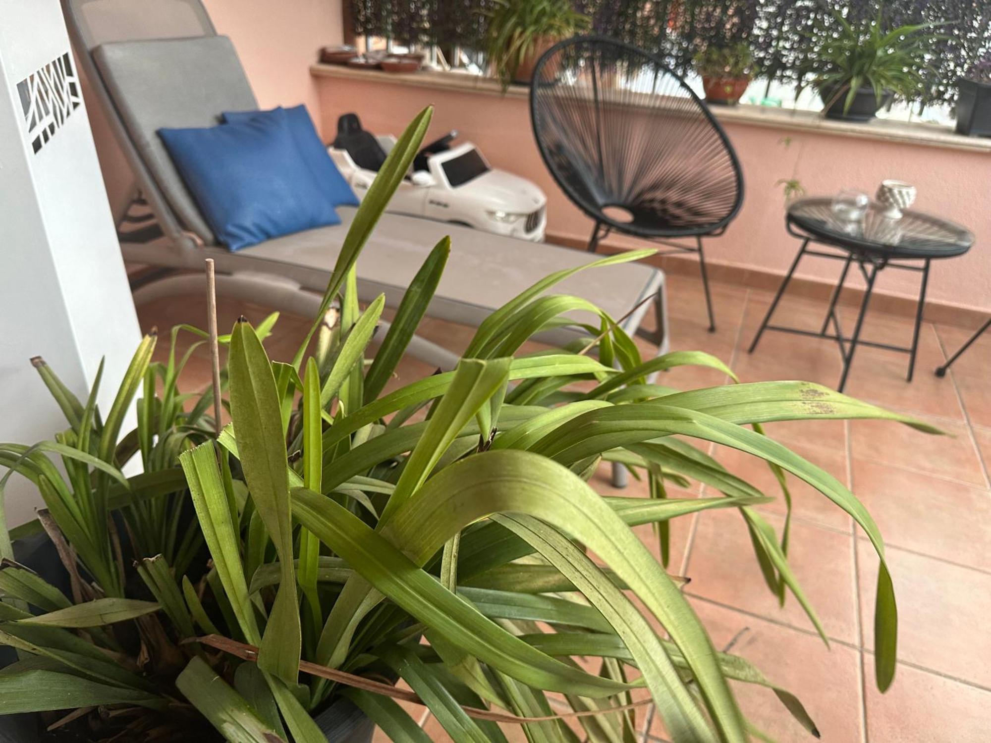 Flat With Jacuzzi - Casa Pia Apartment Мондело Екстериор снимка
